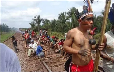 Pénétration de leucocytes dans un organe, à la suite d'une inflammation !