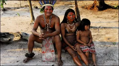 Chamois des Pyrénées !