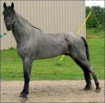 Quelle est cette robe ?