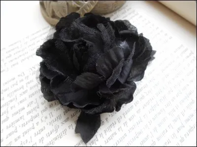 Cite les plantes toxiques.