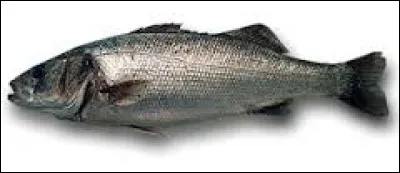 Quel poisson marin est aussi appelé "loup" ?