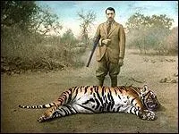 Combien de roupies valait une peau de tigre ?