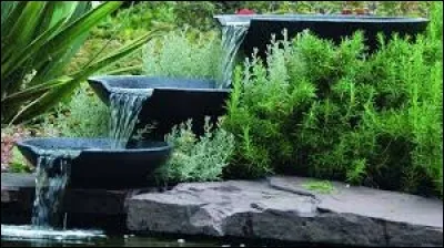 Animal hybride issu du croisement d'un zèbre mâle et d'une jument :