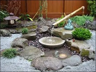 Arbre d'Afrique tropicale utilisé pour le placage :