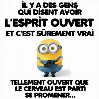 As-tu ri en regardant la vidéo ci-dessus ? (Interdit de mentir !)