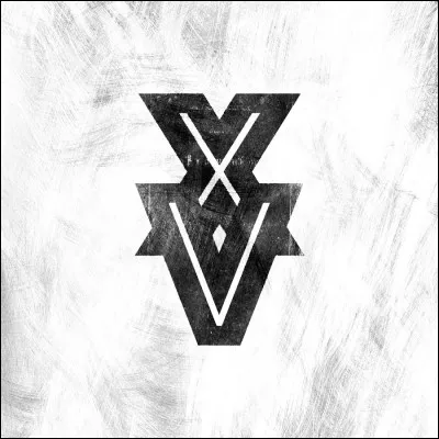 Dans quel groupe chante-t-il ?