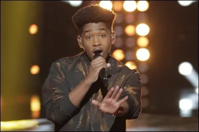 Qui est ce chanteur ?