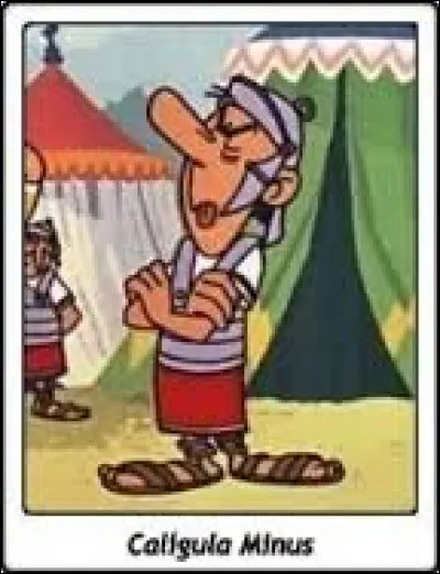 "Astérix le Gaulois" : ne sachant pas pendant combien de temps la potion magique fait de l'effet, Caïus Bonus propose à Caligula Minus de ...