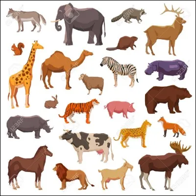 Ton animal pr&eacute;f&eacute;r&eacute; est...