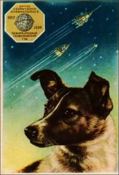L - Le premier &ecirc;tre vivant &agrave; aller dans l'Espace est la chienne "La&iuml;ka", envoy&eacute;e par les Am&eacute;ricains.