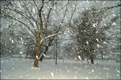 F - Tous les "flocons" de neige ont la m&ecirc;me forme et la m&ecirc;me taille.