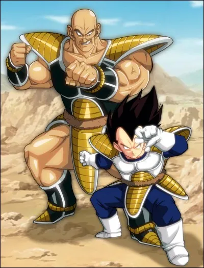 À quelle heure les Saiyans, Vegeta et Nappa, sont-ils arrivés sur la planète Terre ?