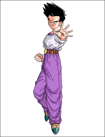 À l'âge de 17 ans, pourquoi Son Goten ne participe-t-il pas au Tenkaichi Budokai ?
