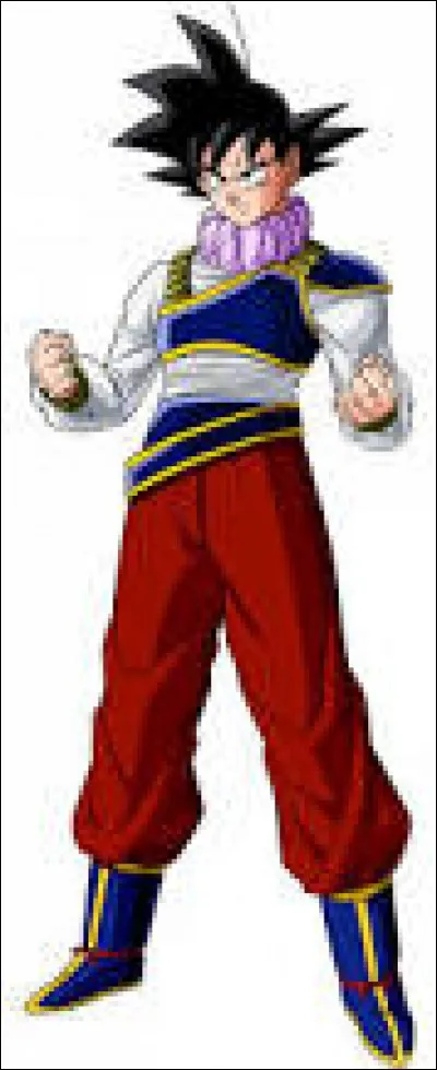 Comment nomme-t-on les extraterrestres de la planète où Son Gokû a échoué avec la capsule spatiale en fuyant la planète Namek ?