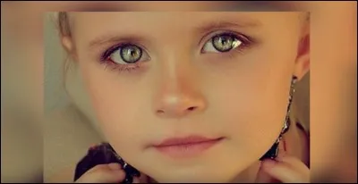 Espèce de sauge, appelée également "Toute-bonne" !