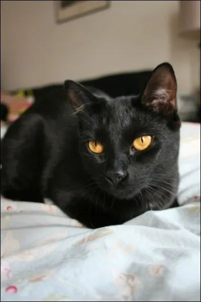 Confiance excessive en soi-même !