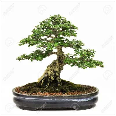 Il fait partager sa passion des jeux vidéos avec des critiques sur des éditions collector de produits, il fait des lives sur sa chaîne secondaire. Sa chaîne se nomme ...