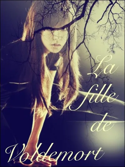 Quel statut de Sang préfères-tu ?