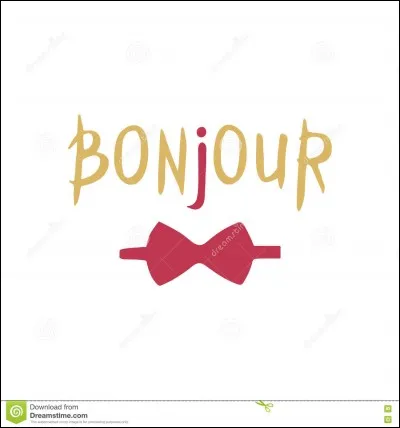 Comment dit-on "Bonjour » (le matin) ?