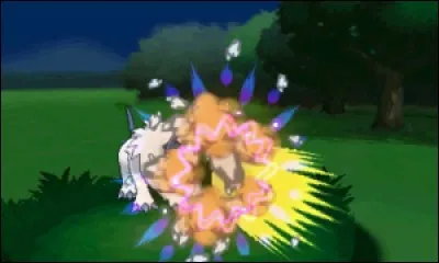 Et pour finir voici...