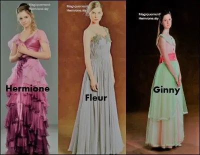 Tu aimerais aller au bal de Noël avec :