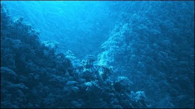 Vrai ou faux ? Le 23 juin est le jour national de la couleur bleue.