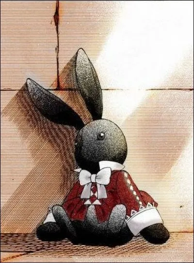 Au final, à qui appartient la Chain B-Rabbit ?