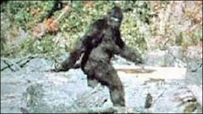 Comment s'appelle cette cr&eacute;ature ?