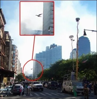 Comment s'appelle cette cr&eacute;ature ?