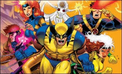 Cet autre groupe est formé de membres tels que Wolverine, Cyclope, Tornade et Jean Grey. Duquel s'agit-il ?