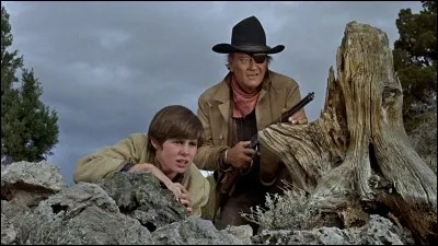 100 Dollars pour un ...