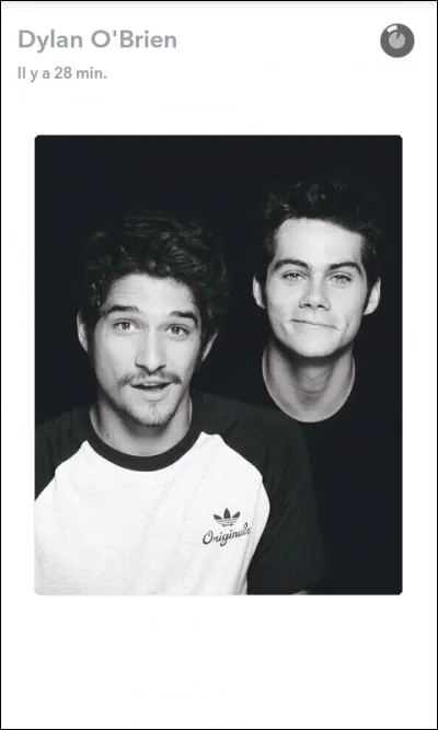 Qu'ont-ils en commun dans la série ?