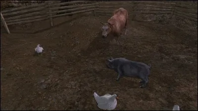 Où se situe cette mini-ferme ?