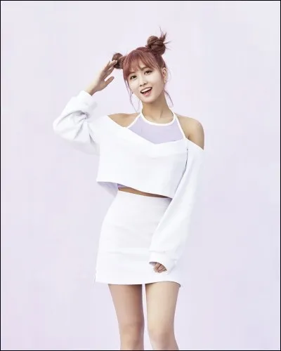 À quel groupe appartient-elle ?