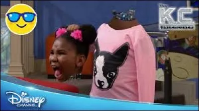 Sa famille et elle sont des espions. L'agence a mis à leur disposions un robot appelé...