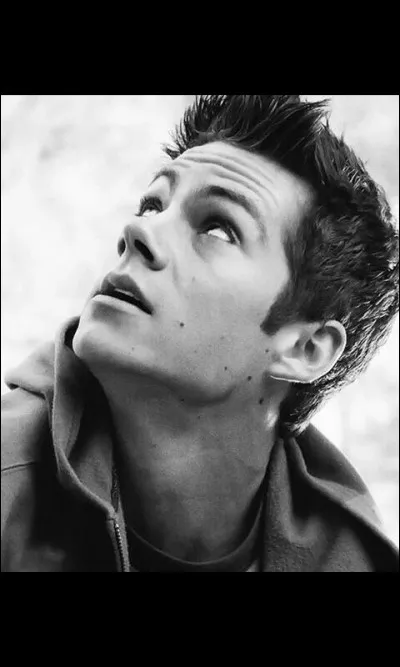 Avec quelle actrice est-il en couple depuis 2011 ?