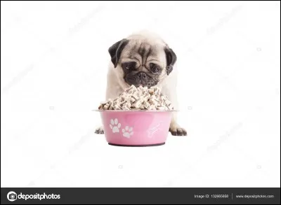 Quelle nourriture préfères-tu ?