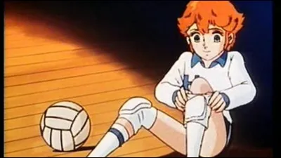 Comment appelle-t-on ce dessin animé où l'héroïne est une championne de volley-ball ?