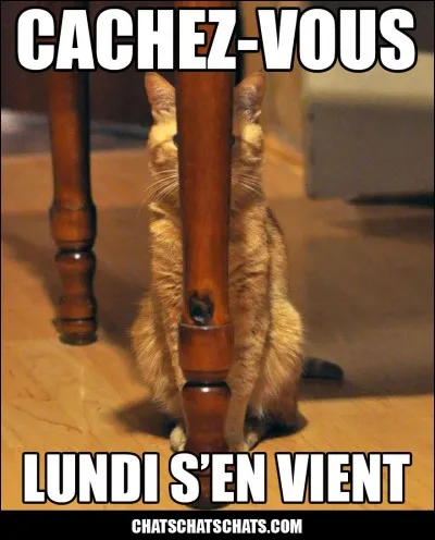 Pour toi, que te dit le mot ''lundi'' ?