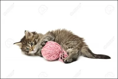 Quel est ton jouet préféré ?