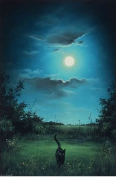 Quelle nourriture préférerais-tu ?