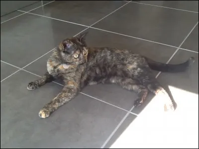 Ta meilleure qualité est...