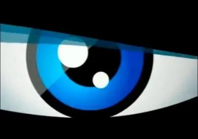 Comment s'appelle la reine des biip ?