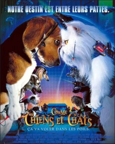 Dans "Entre chiens et chats", les chats sont gentils.