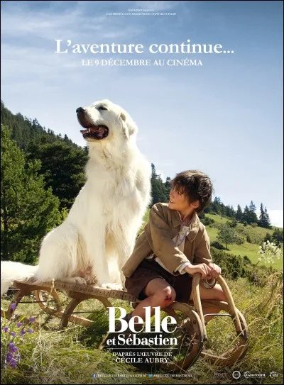 Dans le film "Belle et Sébastien", quelle est la race de Belle ?
