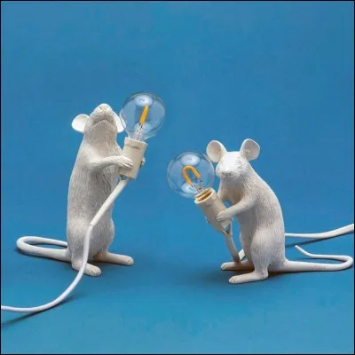 Quel est ton passe-temps ?