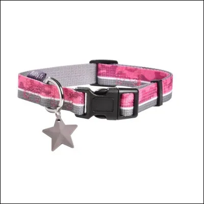 Quel est ton nom d'animal préféré ?