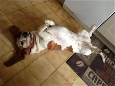 Quelqu'un arrive chez toi mais tu le connais plus ou moins. Comment réagis-tu ?