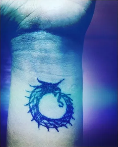 Qu'est-ce que le hollow?