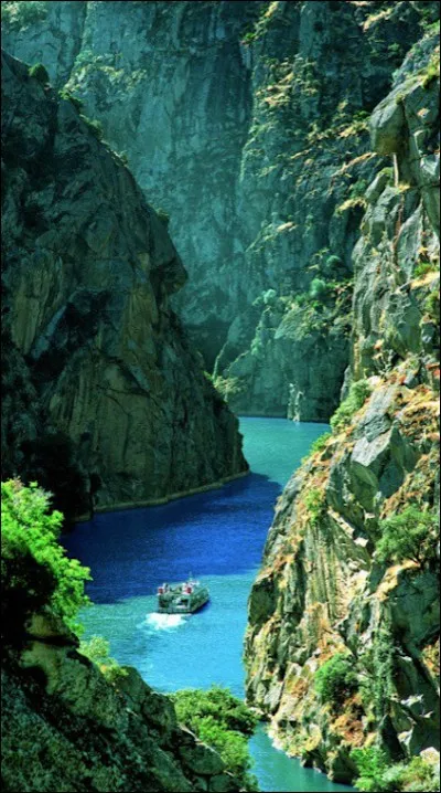 Pour finir, vous pouvez me déposer ici. Comment ça s'appelle déjà, cet endroit ?